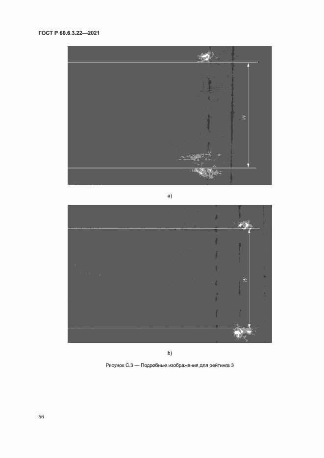 Страница 60 ГОСТ Р 60.6.3.22-2021