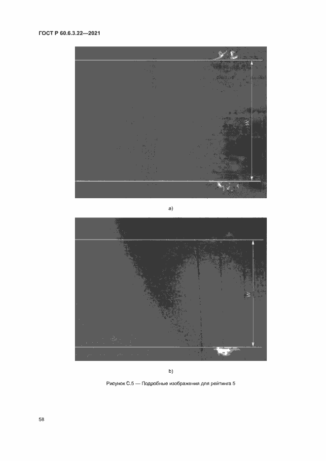 Страница 62 ГОСТ Р 60.6.3.22-2021