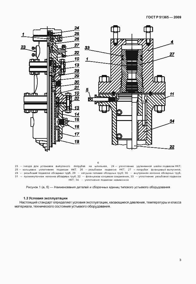 Страница 7 ГОСТ Р 51365-2009