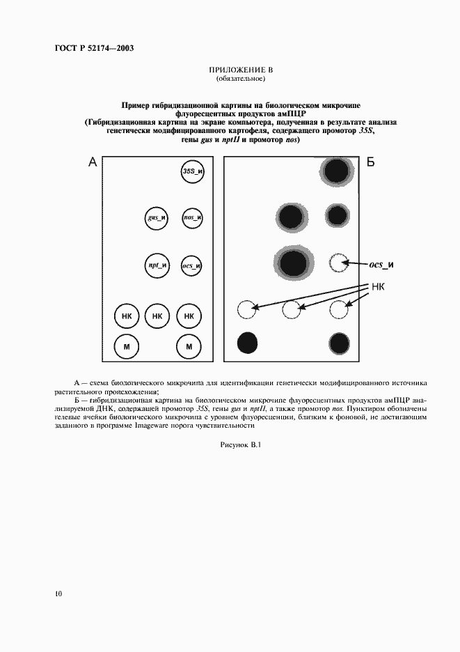Страница 12 ГОСТ Р 52174-2003