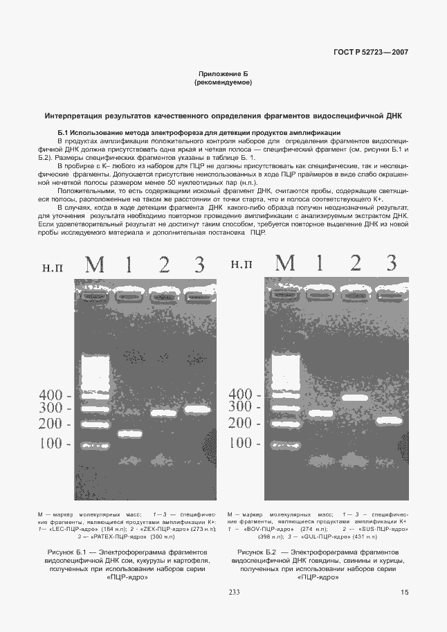Страница 19 ГОСТ Р 52723-2007