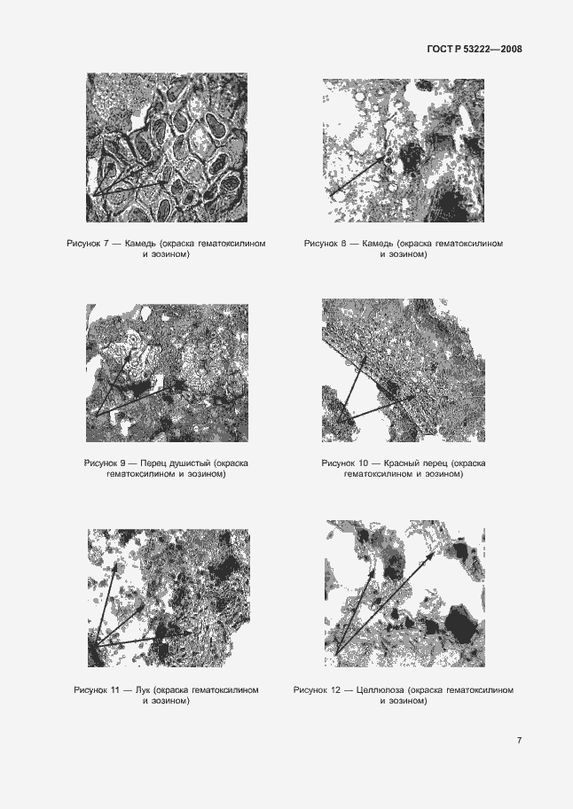 Страница 10 ГОСТ Р 53222-2008