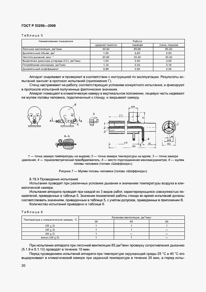 Страница 24 ГОСТ Р 53256-2009