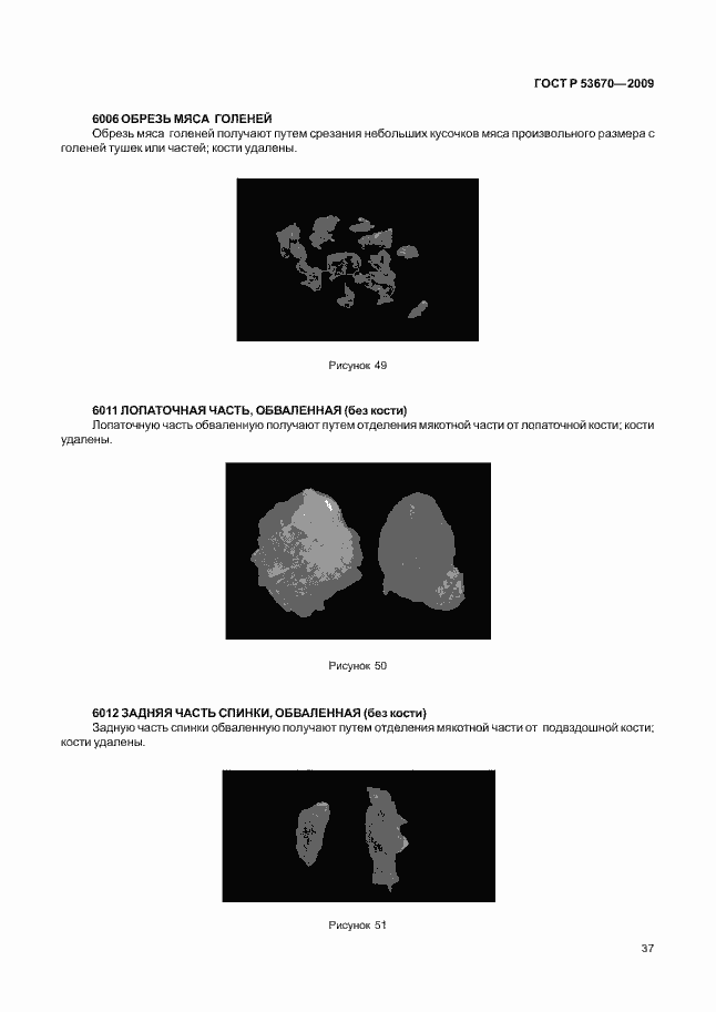 Страница 40 ГОСТ Р 53670-2009