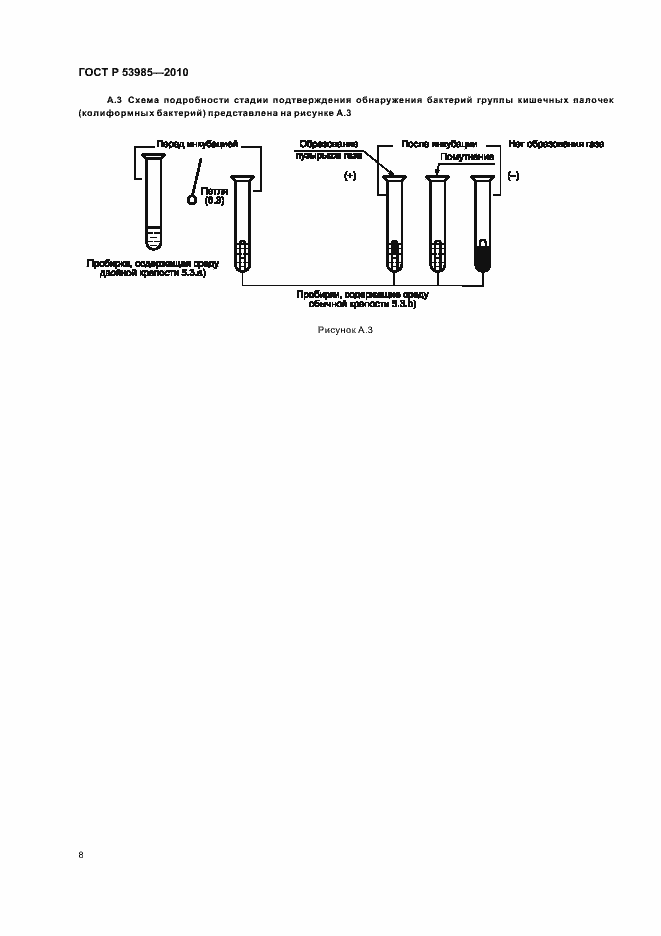 Страница 10 ГОСТ Р 53985-2010