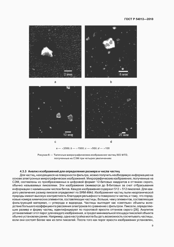 Страница 13 ГОСТ Р 54012-2010