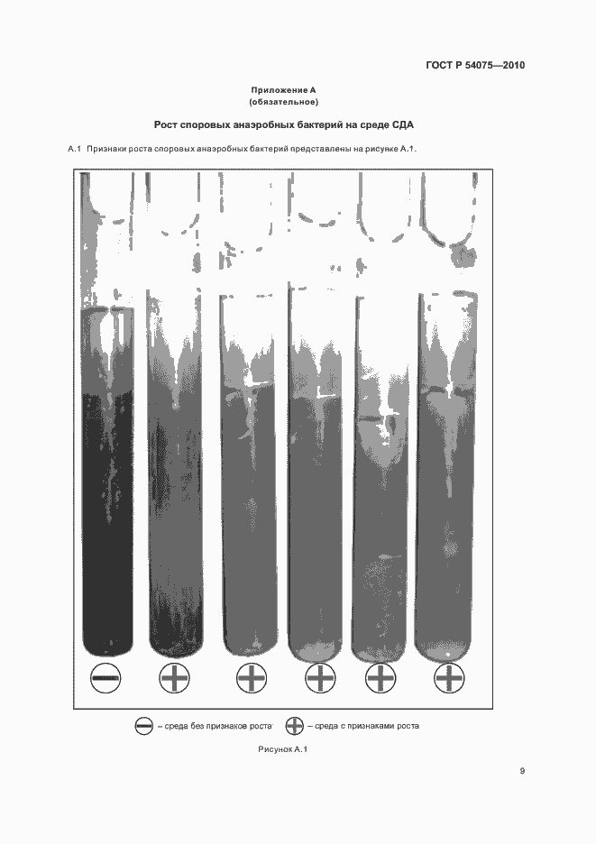 Страница 13 ГОСТ Р 54075-2010