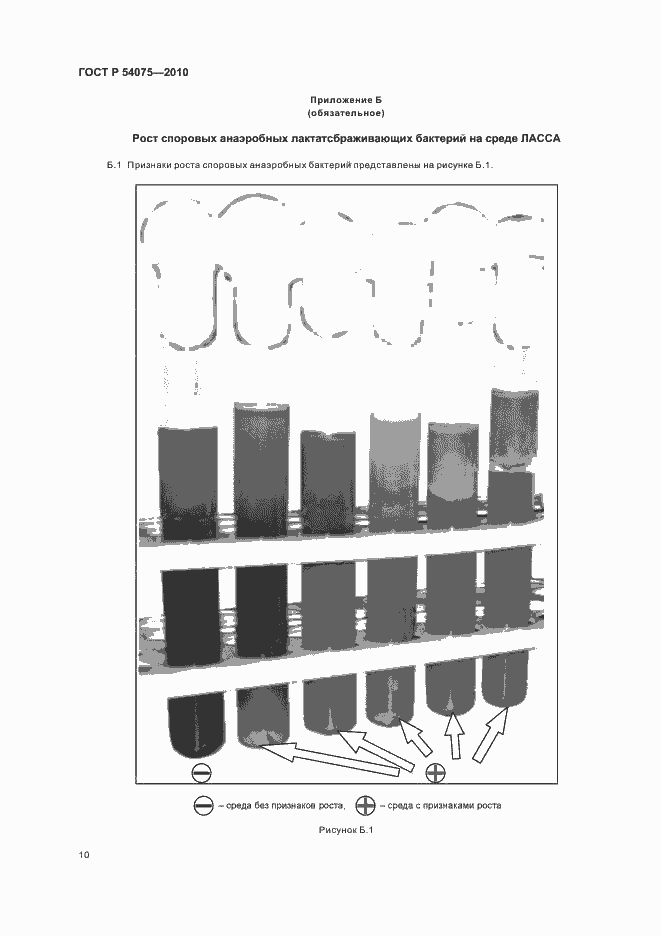 Страница 14 ГОСТ Р 54075-2010
