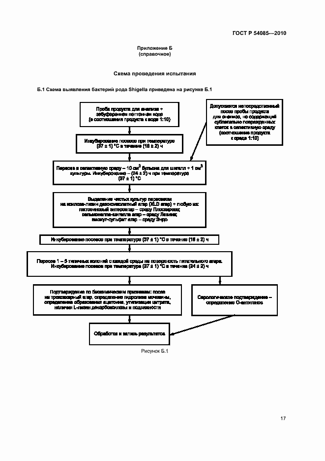 Страница 21 ГОСТ Р 54085-2010