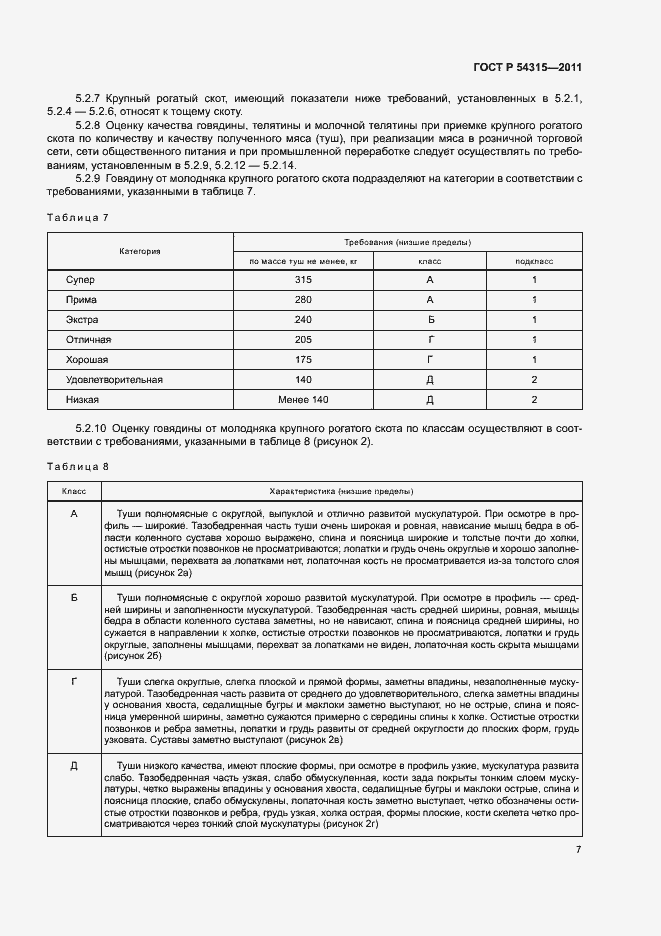 Страница 11 ГОСТ Р 54315-2011