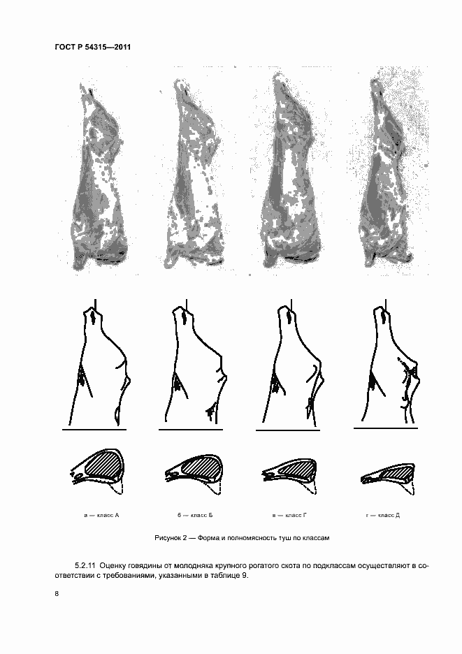 Страница 12 ГОСТ Р 54315-2011