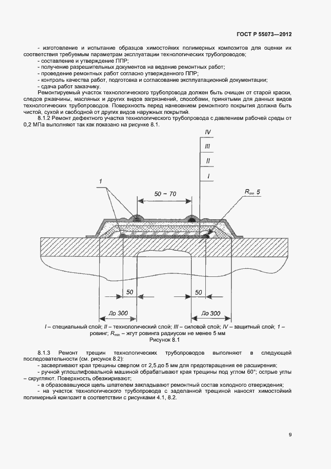 Страница 12 ГОСТ Р 55073-2012