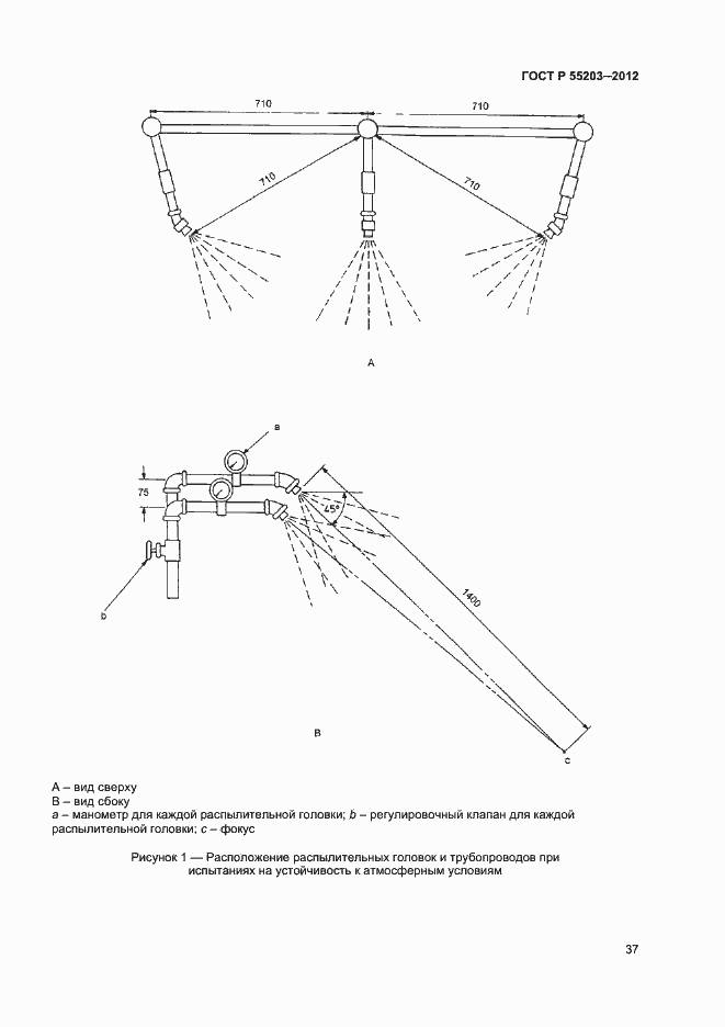 Страница 41 ГОСТ Р 55203-2012