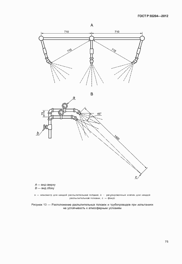 Страница 79 ГОСТ Р 55204-2012