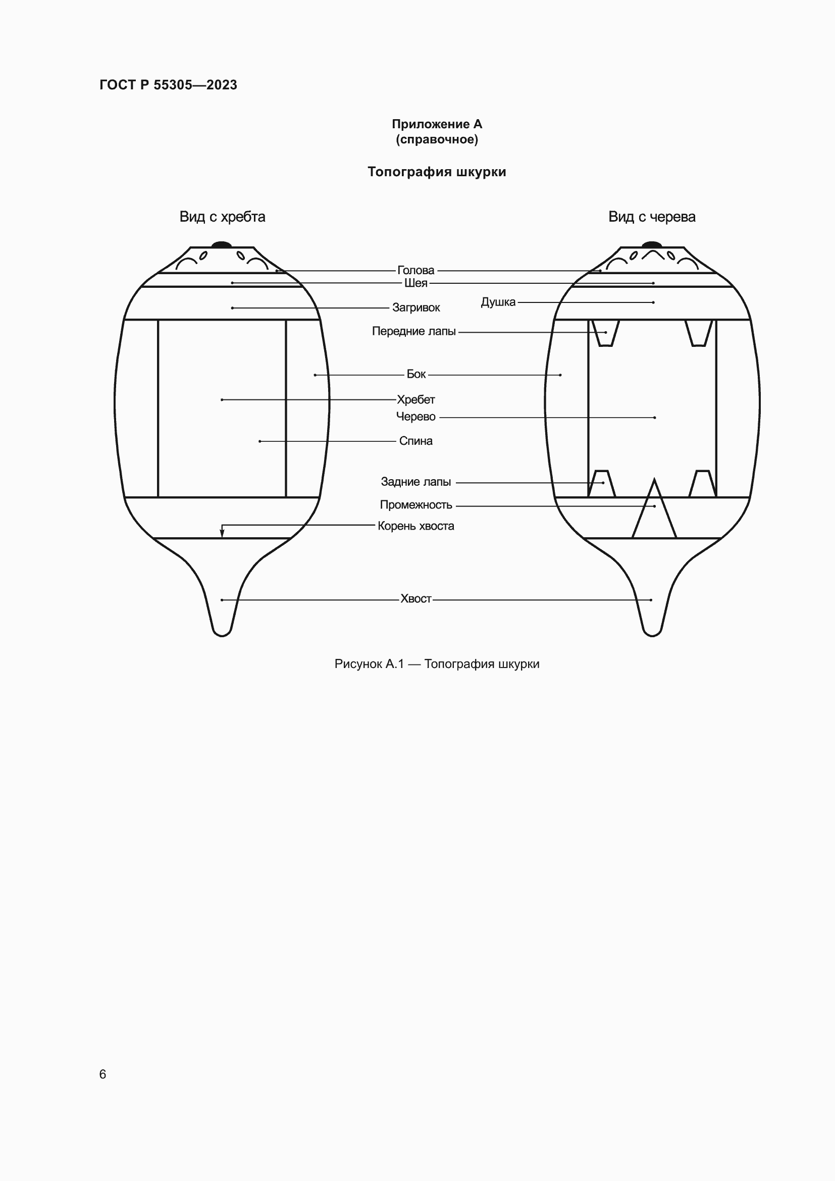 Страница 10 ГОСТ Р 55305-2023