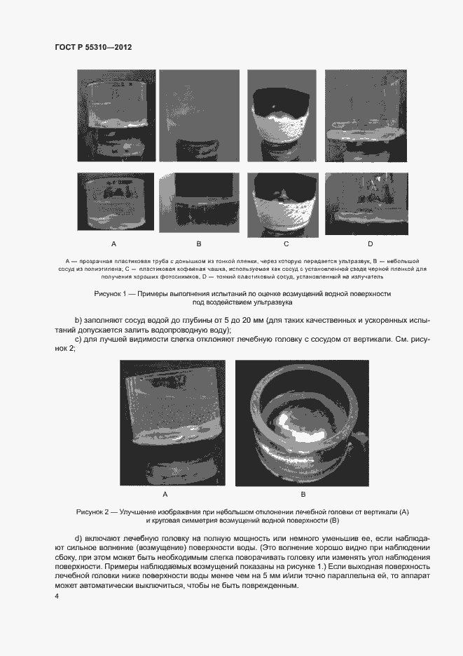Страница 6 ГОСТ Р 55310-2012