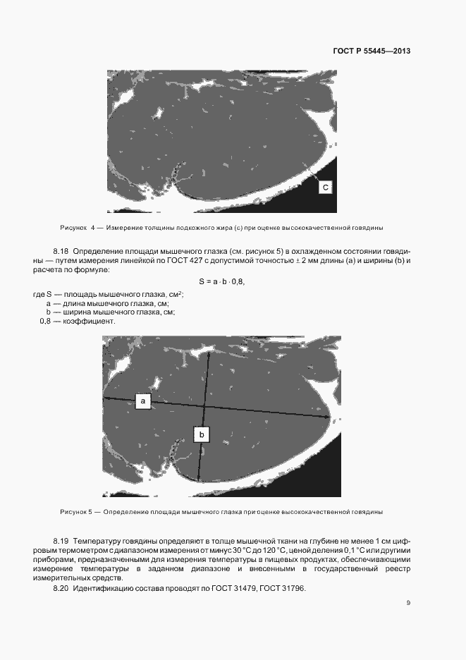 Страница 13 ГОСТ Р 55445-2013