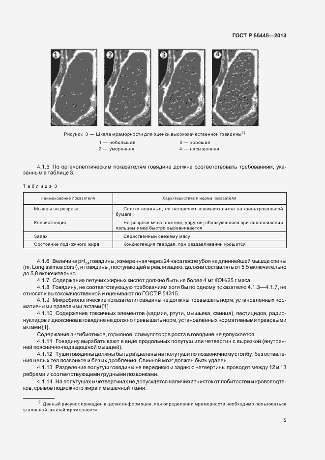 Страница 9 ГОСТ Р 55445-2013