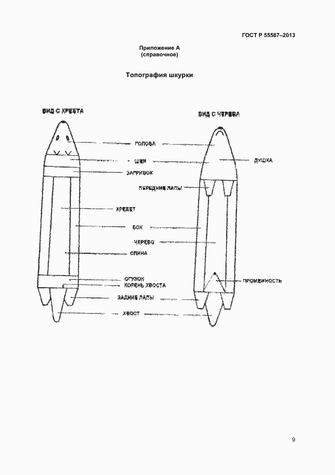 Страница 11 ГОСТ Р 55587-2013