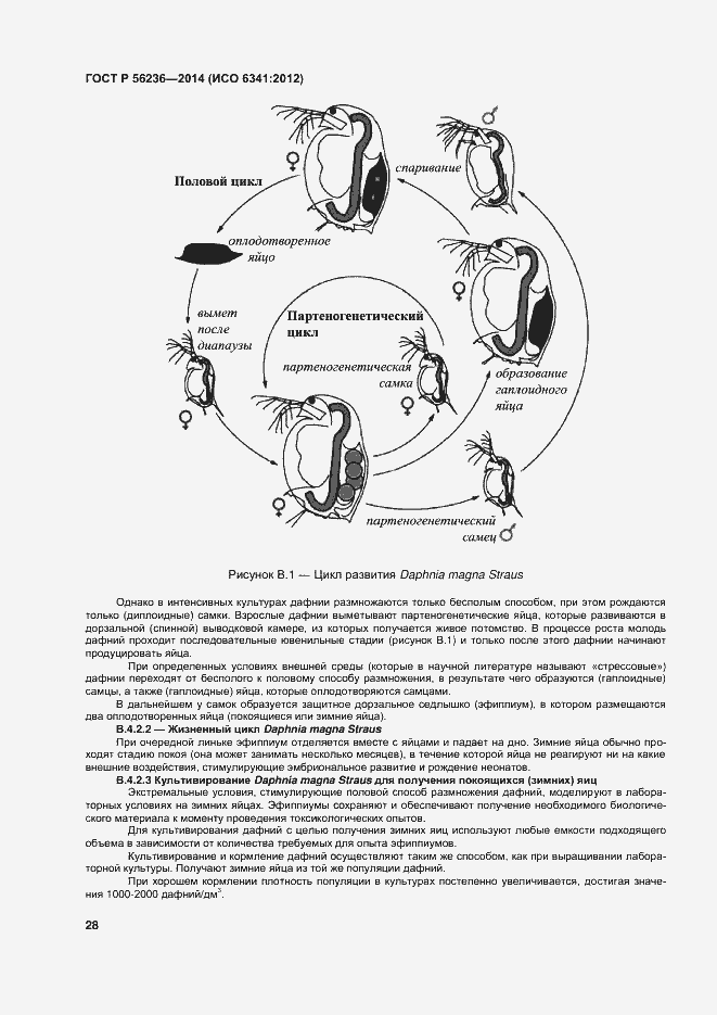 Страница 31 ГОСТ Р 56236-2014