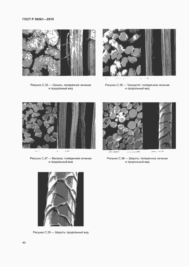 Страница 43 ГОСТ Р 56561-2015
