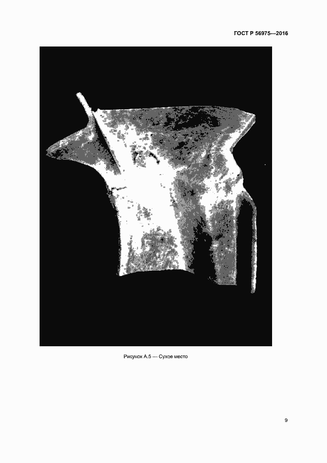 Страница 12 ГОСТ Р 56975-2016