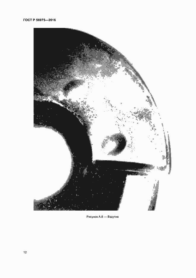 Страница 15 ГОСТ Р 56975-2016