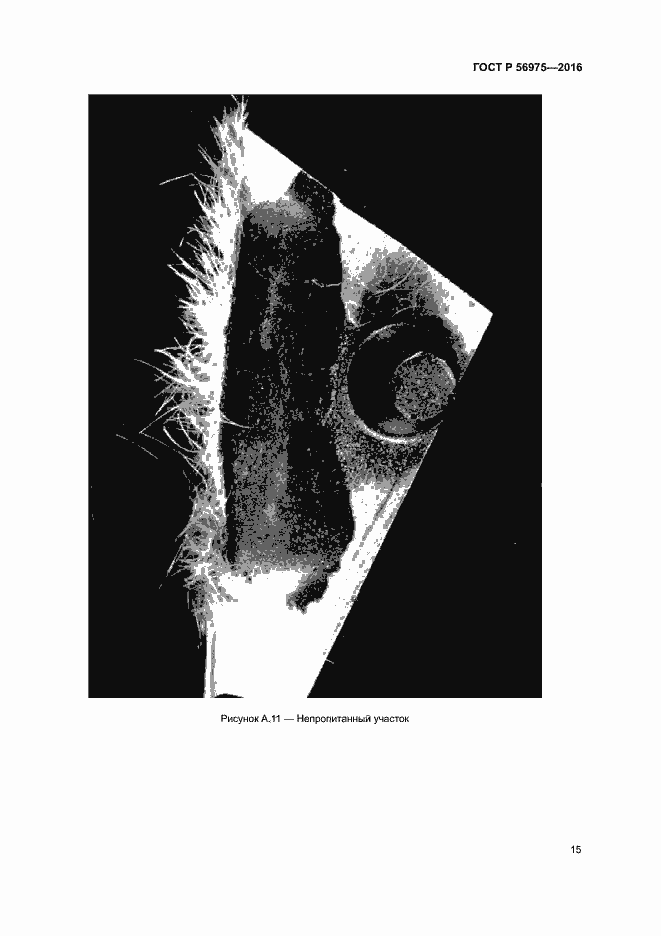 Страница 18 ГОСТ Р 56975-2016