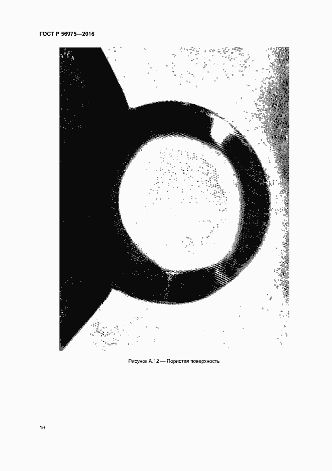 Страница 19 ГОСТ Р 56975-2016
