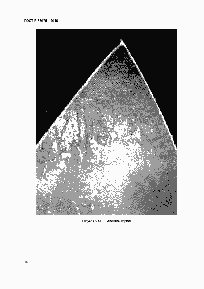 Страница 21 ГОСТ Р 56975-2016