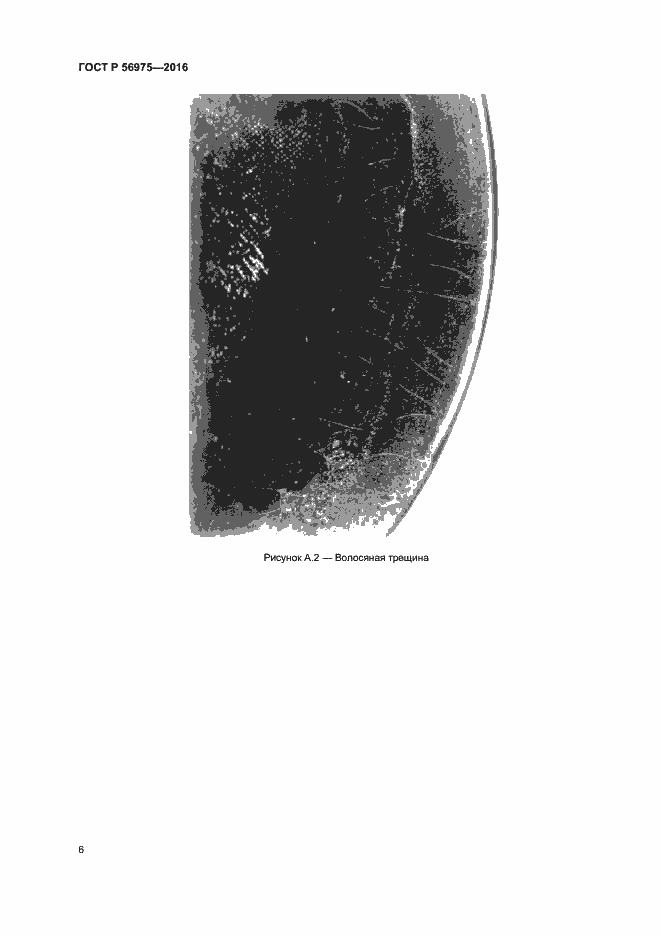Страница 9 ГОСТ Р 56975-2016