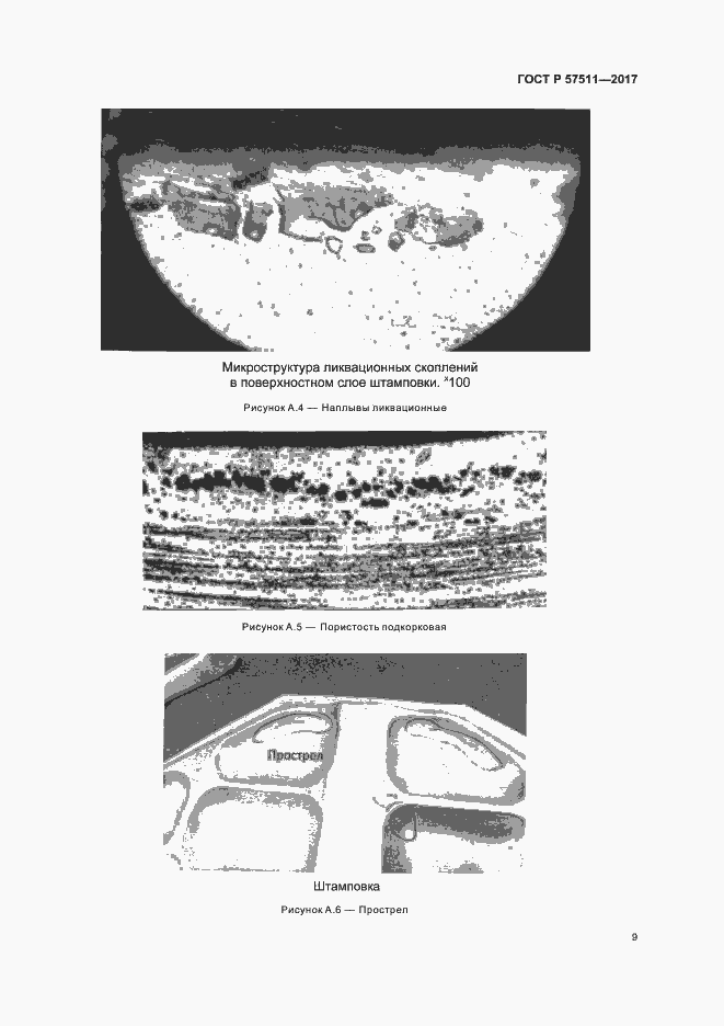 Страница 12 ГОСТ Р 57511-2017