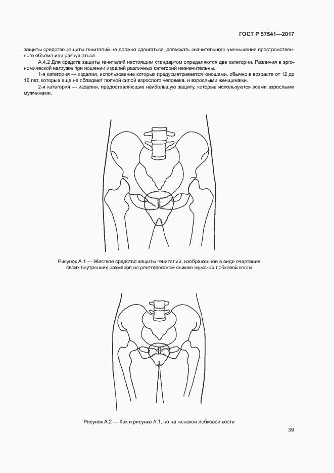 Страница 42 ГОСТ Р 57541-2017