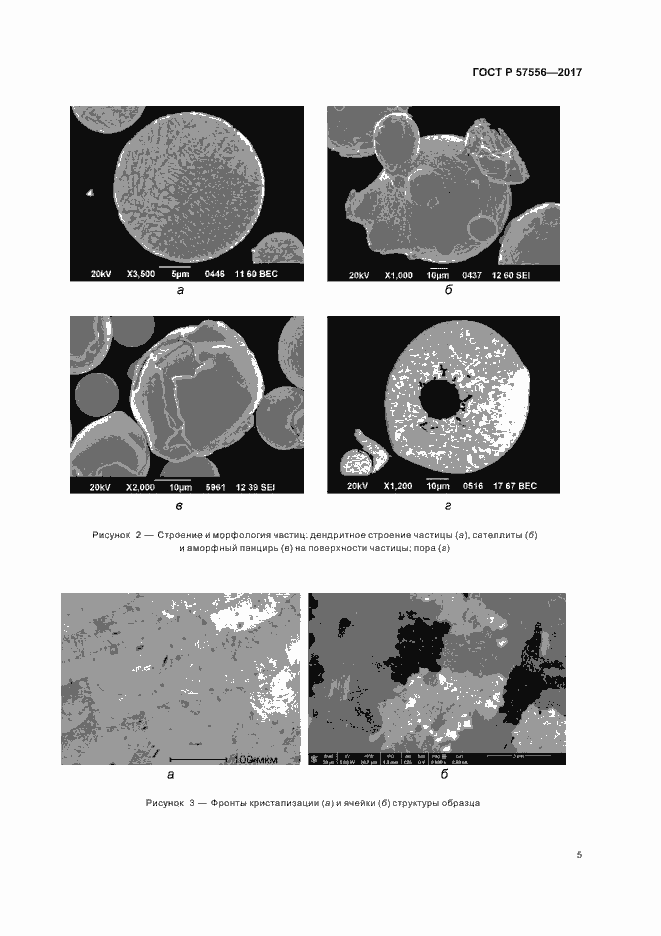 Страница 8 ГОСТ Р 57556-2017