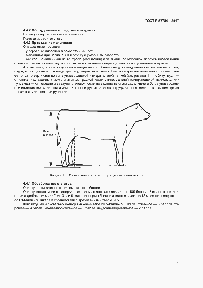 Страница 10 ГОСТ Р 57784-2017