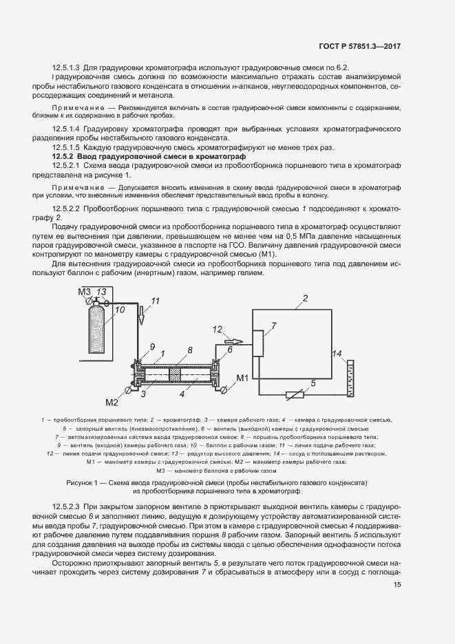 Страница 19 ГОСТ Р 57851.3-2017