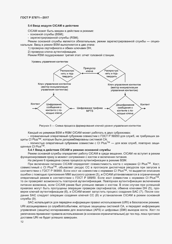 Страница 15 ГОСТ Р 57871-2017