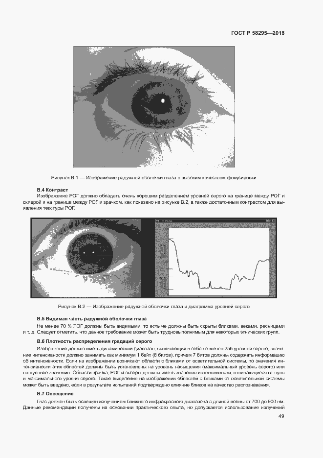 Страница 53 ГОСТ Р 58295-2018