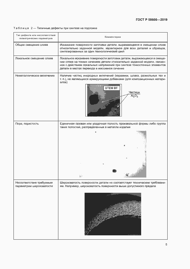 Страница 8 ГОСТ Р 58600-2019