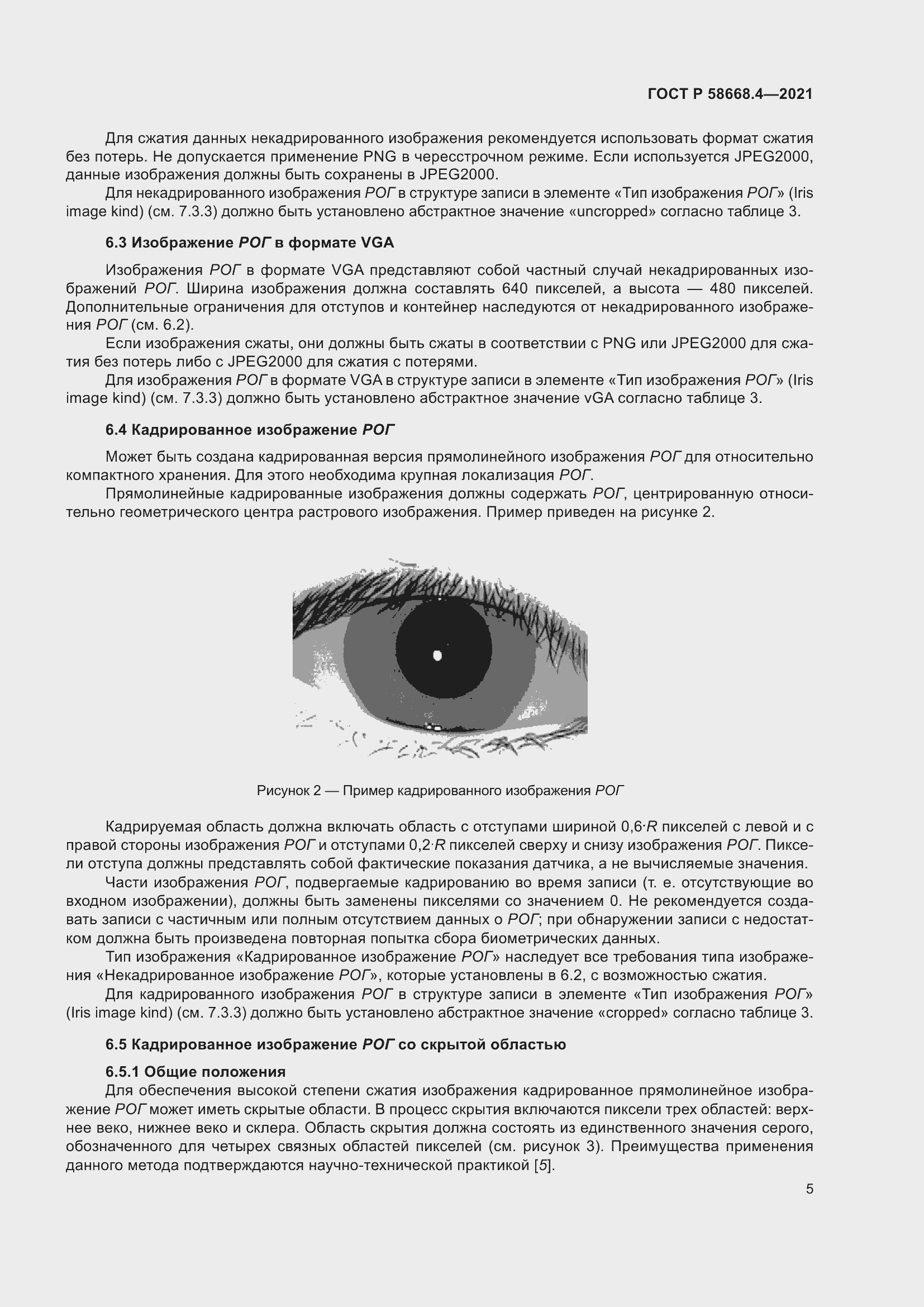 Страница 10 ГОСТ Р 58668.4-2021