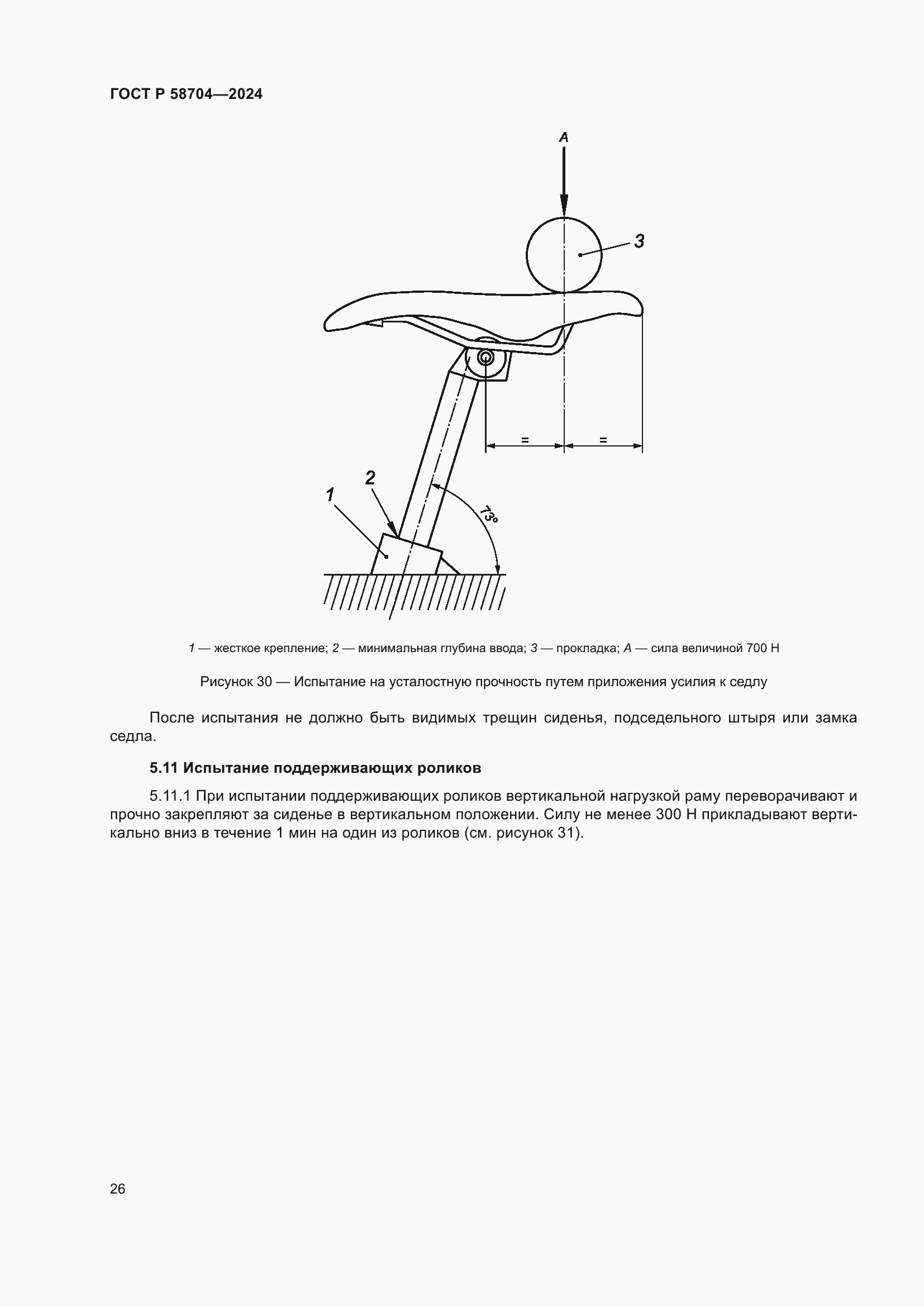 Страница 30 ГОСТ Р 58704-2024