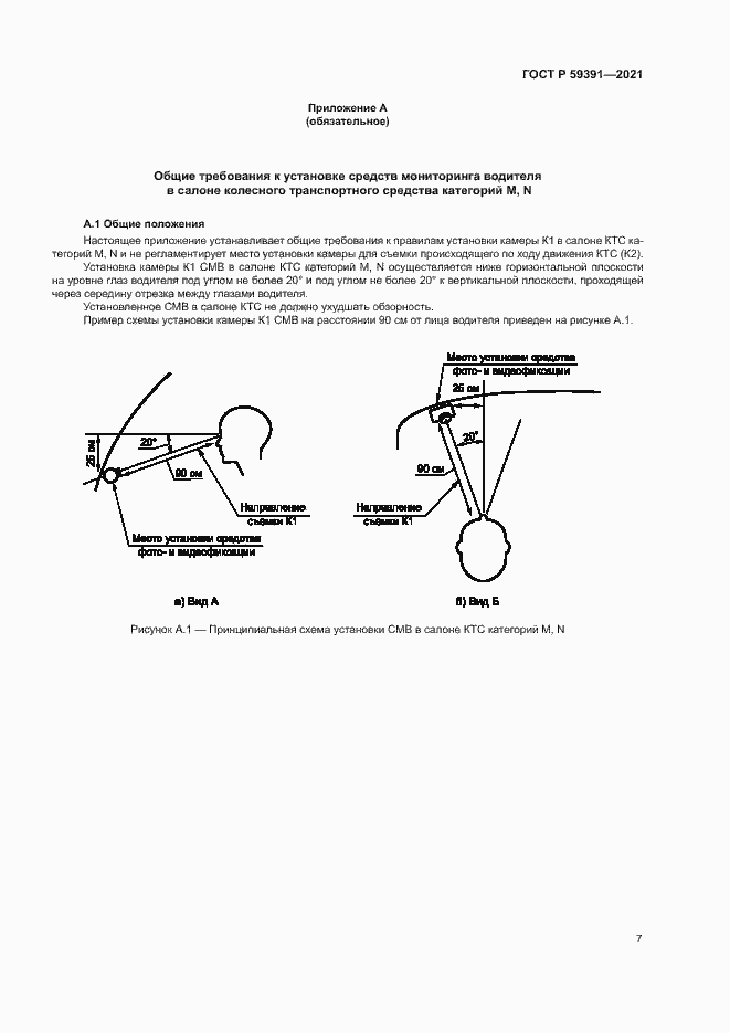 Страница 11 ГОСТ Р 59391-2021