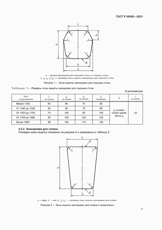 Страница 5 ГОСТ Р 59392-2021