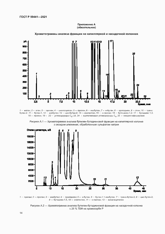 Страница 17 ГОСТ Р 59441-2021