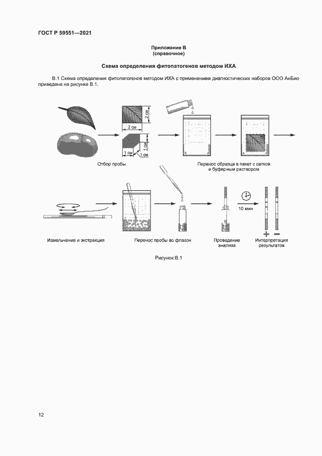 Страница 15 ГОСТ Р 59551-2021