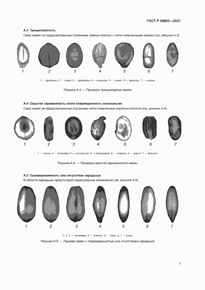 Страница 11 ГОСТ Р 59603-2021