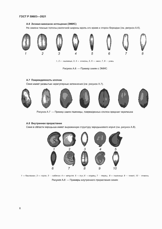 Страница 12 ГОСТ Р 59603-2021