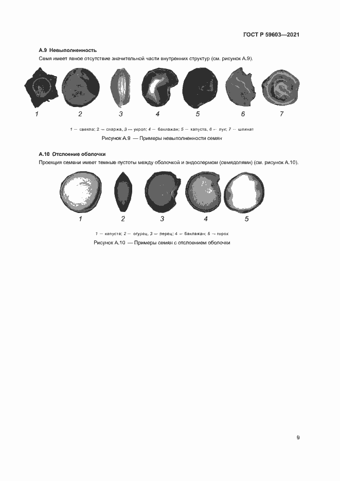 Страница 13 ГОСТ Р 59603-2021