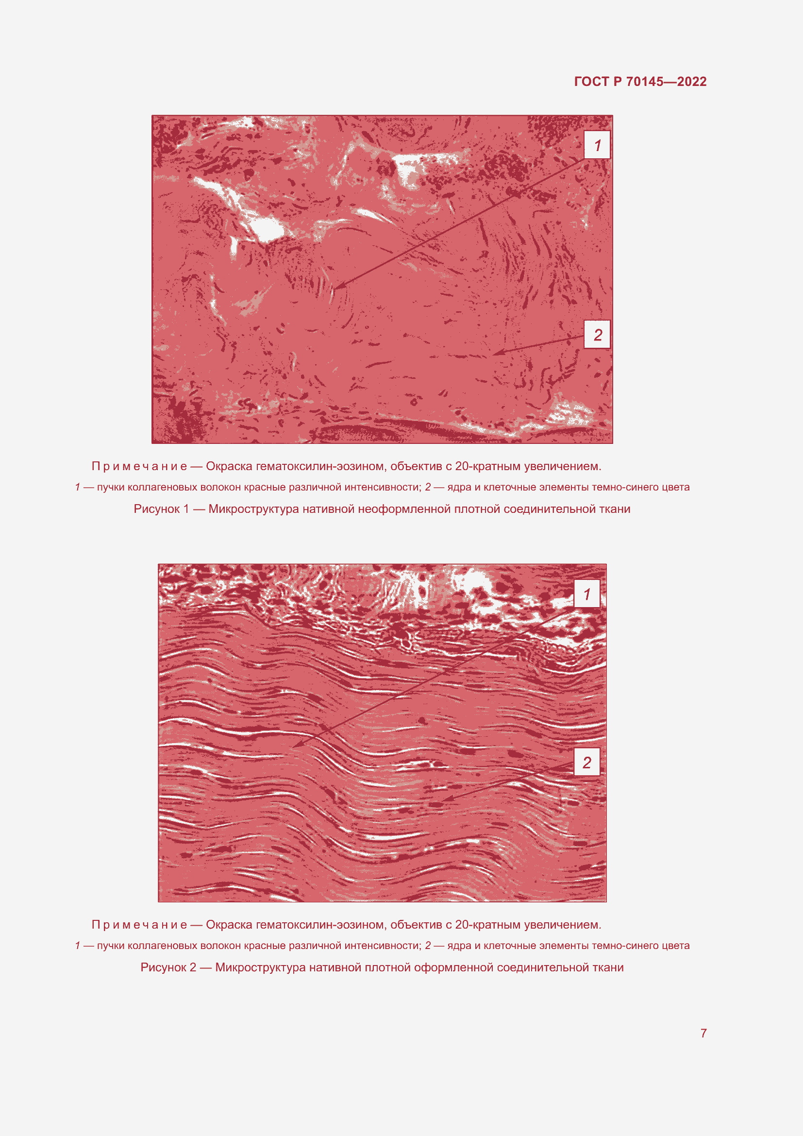 Страница 13 ГОСТ Р 70145-2022