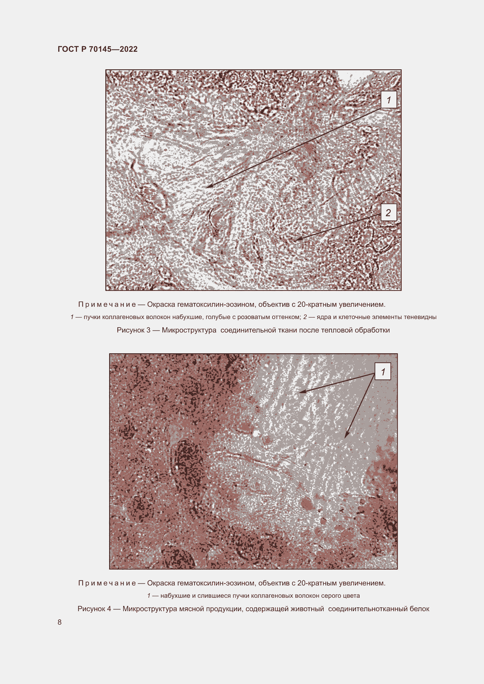 Страница 14 ГОСТ Р 70145-2022